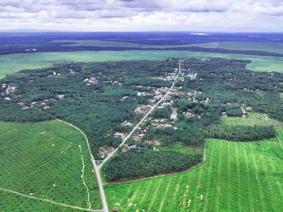 Foto-Kebun-untuk-Header2 Foto-Kebun-untuk-Header2